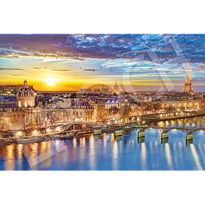 �G�|�b�N�� 1000�s�[�X �W�O�\�[�p�Y�� �C�O���i �������Z�[�k��-�t�����X (50×75cm) 09-032s �̂�