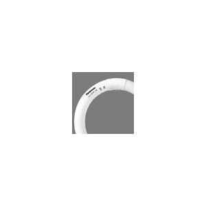 �u�����ی` 20�` �d���F �p���b�N FCL20EXL18F3