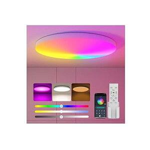 LED�V�[�����O���C�g RGB 6�� 3600lm �������F ��铔 led �Ɩ� �V�� RGB���͋C���C�g �d�C ������