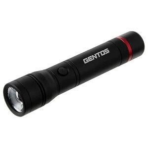�����d�� LED���C�g �P2�d�r�� ���� 600���[���� ���N�V�[�h RX-022DS �n���f�B���C�g �t���b�V��