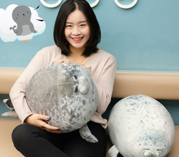 楽天市場 アザラシ抱き枕80cm 添い寝クッション 2点セット ミソラ雑貨屋 楽天市場 アザラシ抱き枕80cm 添い寝クッション 2点セット ミソラ雑貨屋