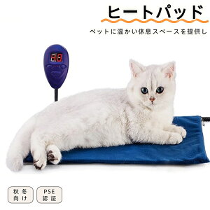 q[gpbh ybgpq[gpbh dybgq[^[ Lpq[g}bg pg[pbh  ybĝʂ΍ H~lC PSEF