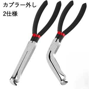 Jv[O H ^Cv Ȑ^Cv Zbg RlN^[ vC[ Rz[X O y` z  eiX C DIY   oCN I[goC Yf| ^ y