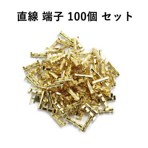  [q 100 Zbg ȒPڑ zH [q DIY ėp oCN ԗp Ɠd\Pbgp zRlN^[