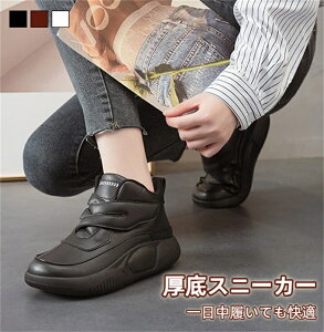 Xj[J[ RtH[gV[Y Xb| V[Y O fB[X  Xj[J[