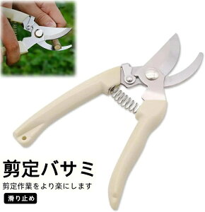 ����o�T�~ ���|�΂��� �R���p�N�g�T�C�Y �T�N�T�N�؂�܂� �y�ʂȃ^�C�v ����₷ ���|�� �~�� �}�؂� ��� �ʎ����n ������