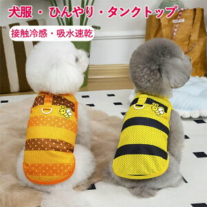   Ђ ^Ngbv ⊴ bV  ėp  ĕ  ʋC  N[xXg Lk EȒP ^ ^ L ΍ Eѕی