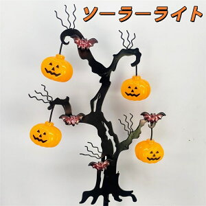 nEB  K[fCg \[[ J{`Cg \[[Cg O h v C~l[VCg ߍݎ Ԏ_  Ɩ    