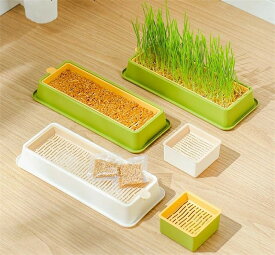 水耕 栽培 猫草 ボックス 2個セット 猫草栽培 キット 猫草プランター 猫草栽培セット 水植物 スプラウター 発芽コンテナー 種なし