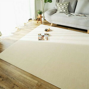 O 􂦂 O}bg ~ߕt C O~ }bg Vo[O[ 120*160cm OJ[ybg k J[ybg  O H ~ EHbVu 􂦂郉O zbgJ[ybgΉ r