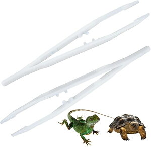 ঒ sZbg a sZbg 2 SsZbg ވSaNbv   JG aNbv a